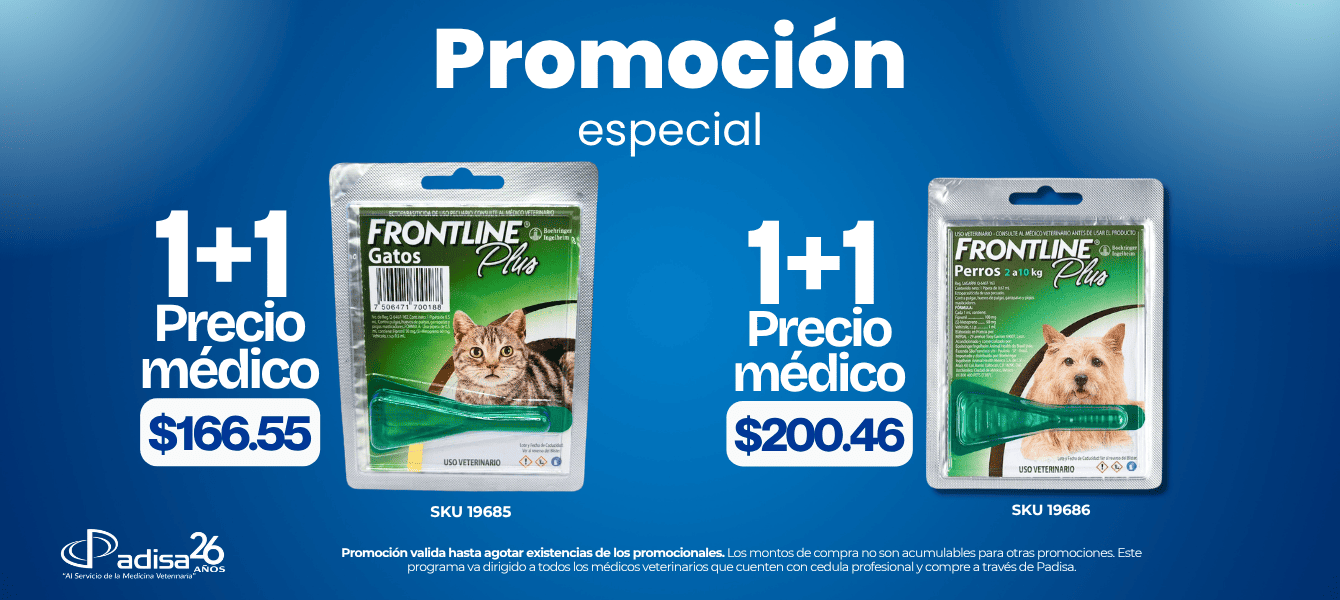 FRONTLINE-PROMOCION