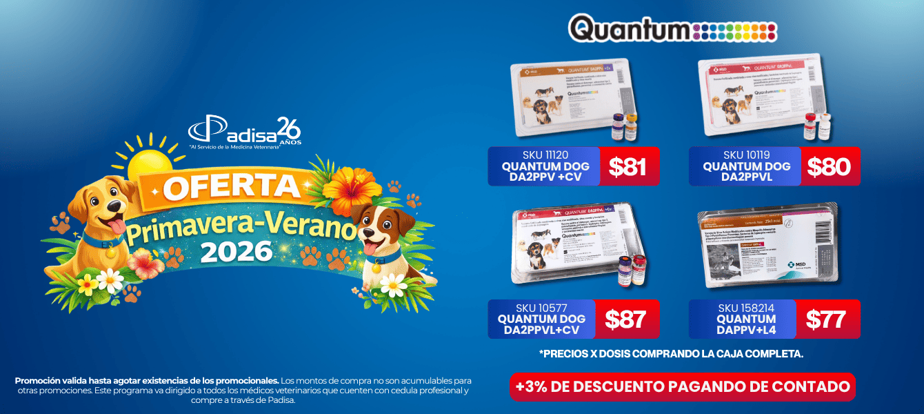 QUANTUM-PROMOCION